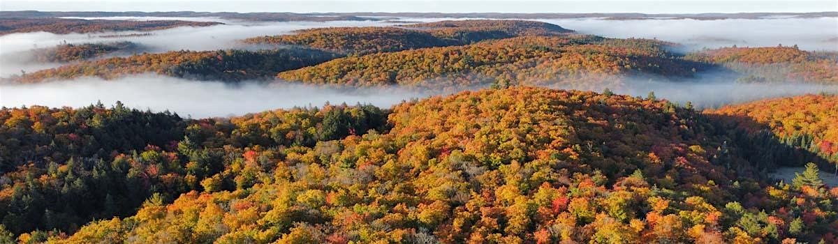 Algonquin Park autumn trip - Peak maple leaf season Sept. 27-28