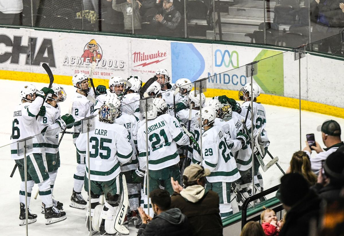 Ferris State Bulldogs at Bemidji State Beavers Mens Hockey at The Sanford Center