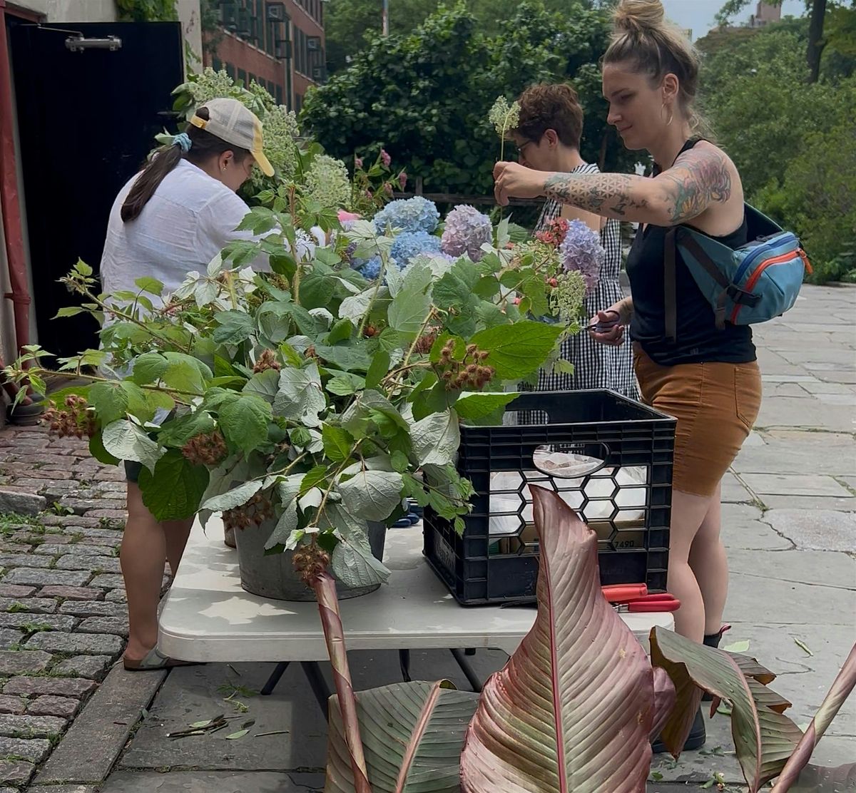 Flower Arranging and Pruning Class - Early Fall 2025
