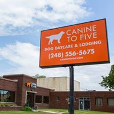 Canine To Five - Ferndale