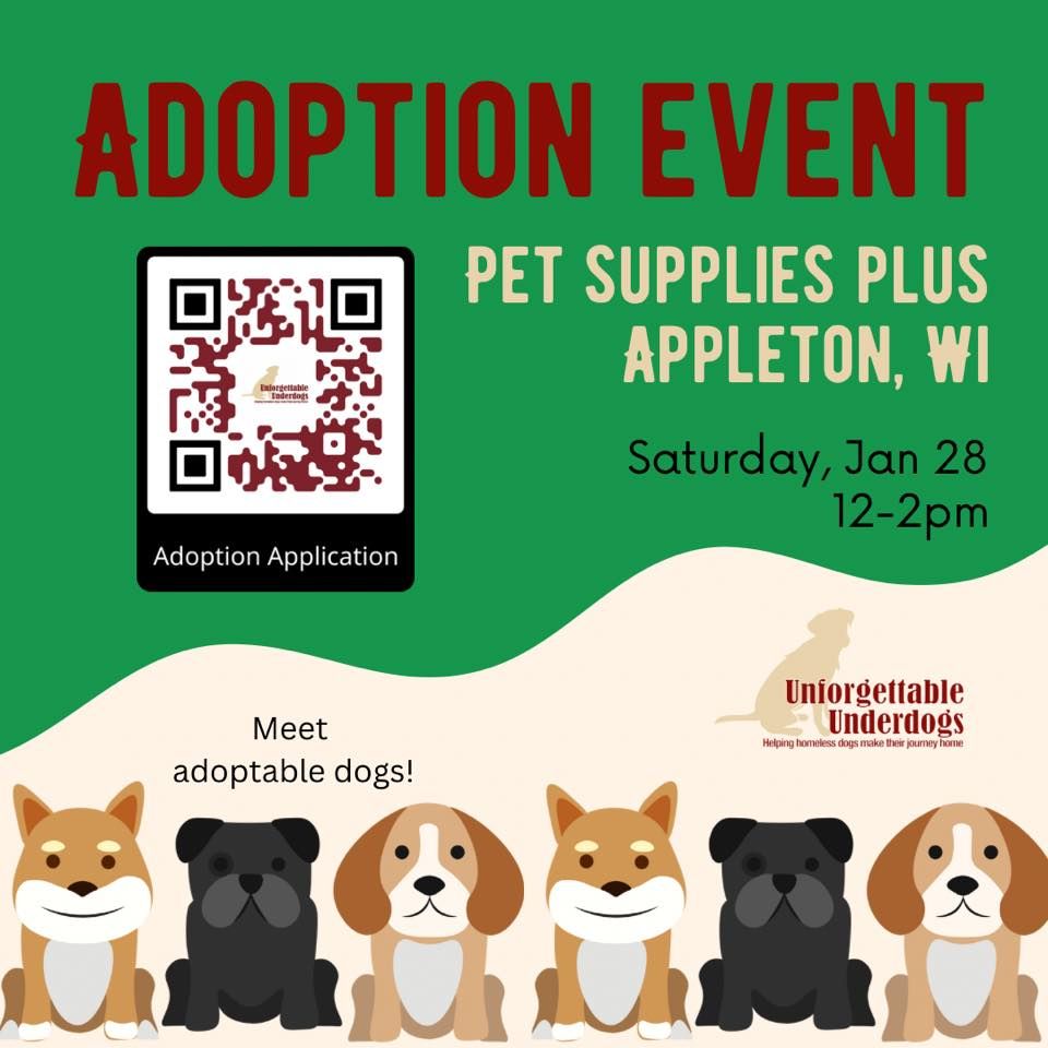 Underdogs Adoption Event Pet Supplies Plus Appleton