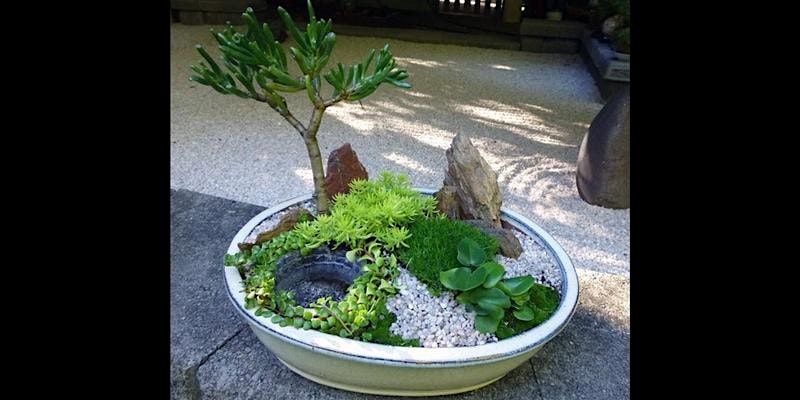 Miniature Japanese garden workshop