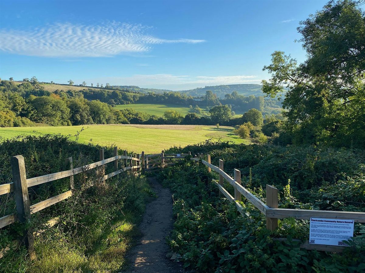 Charlcombe Community Nature Reserve - the next five years