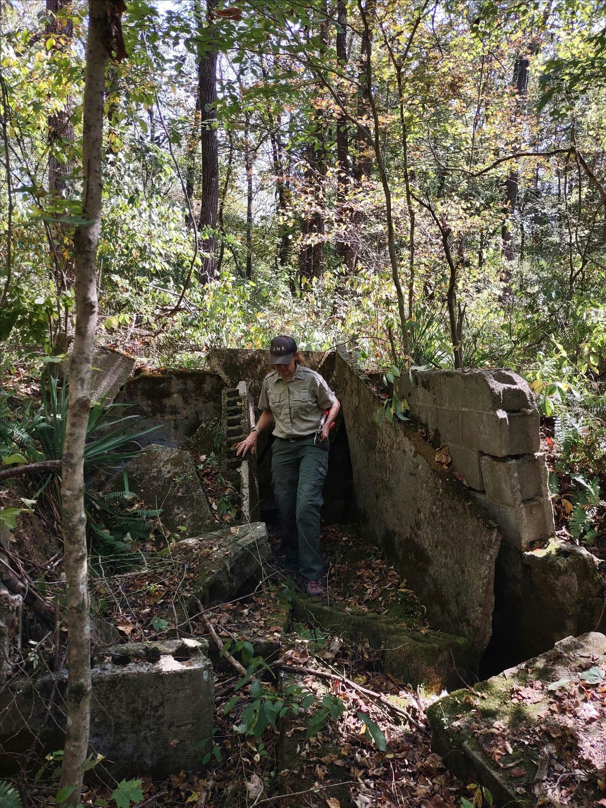 Archaeology Site Prep: Volunteer Workday
