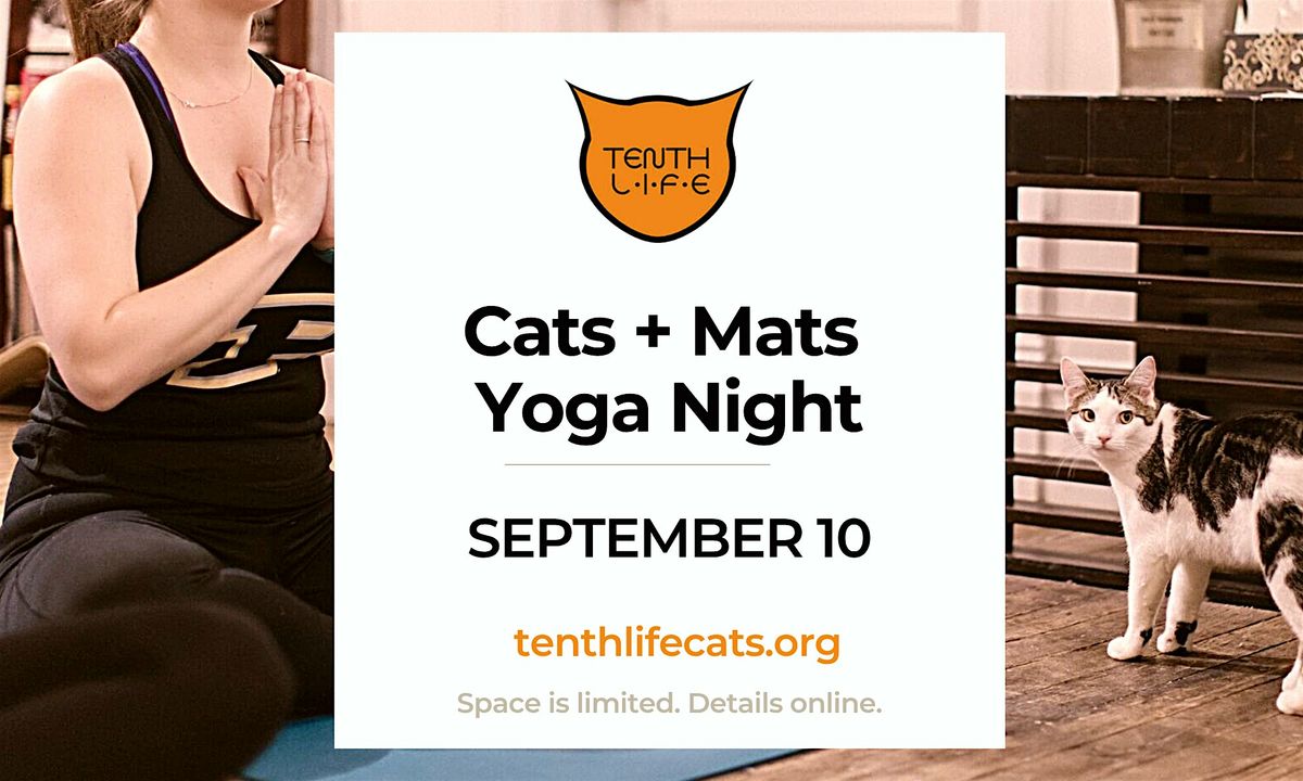 Cats N' Mats Yoga Night - September 2025