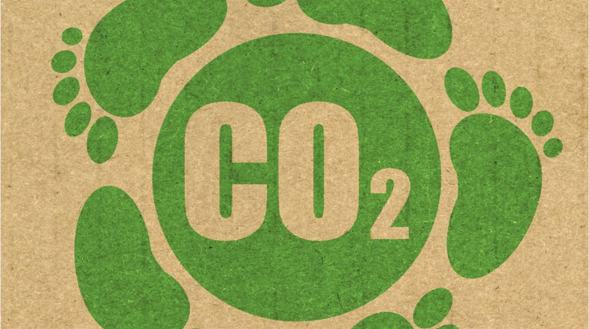 Formation fondamentaux du climat et de la d\u00e9carbonation