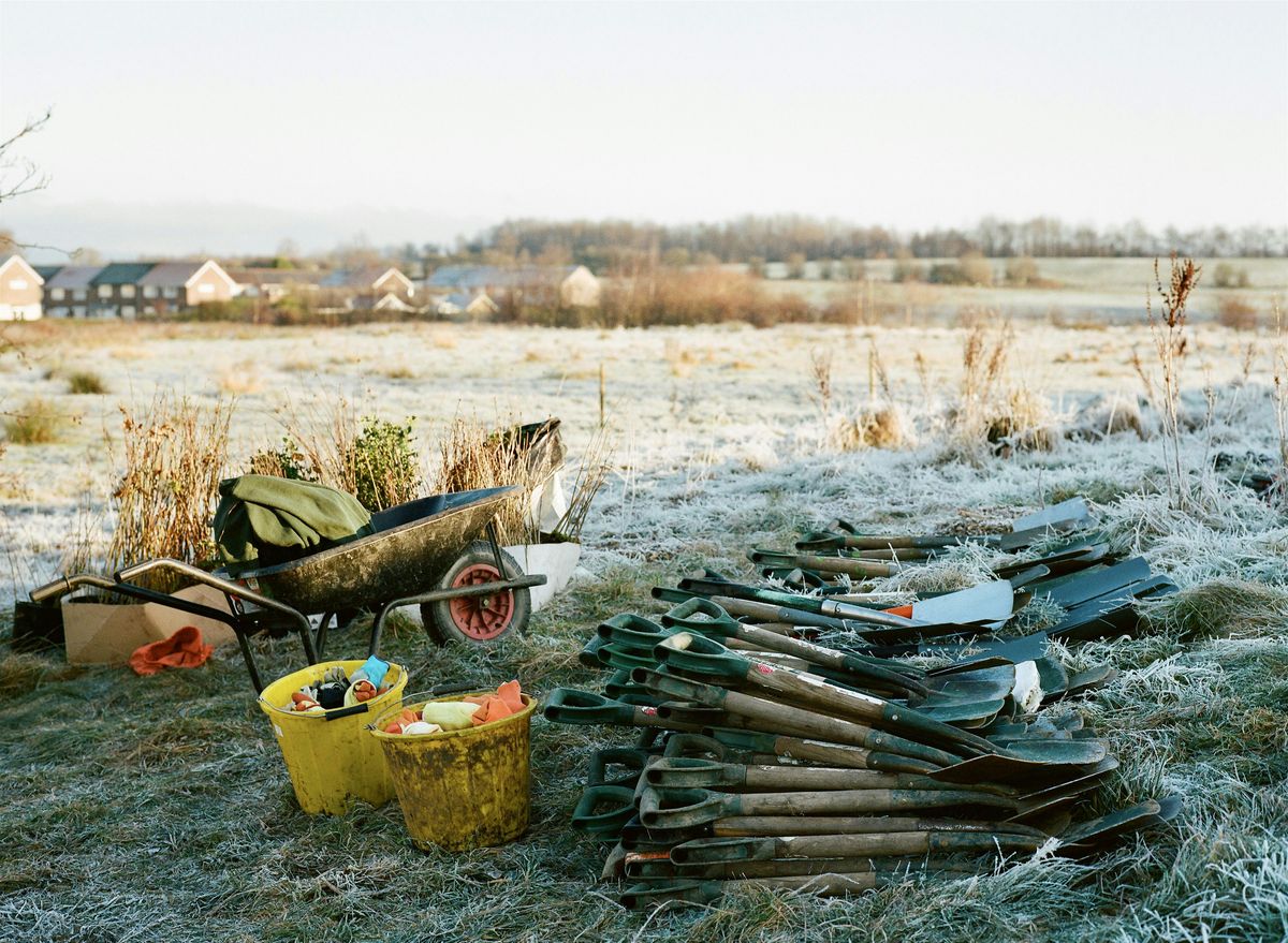 Citizen Forester Tree Planting and Maintenance at Horses Field, Tameside
