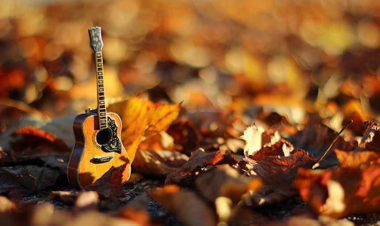 Brady & G at the Catman Cafe