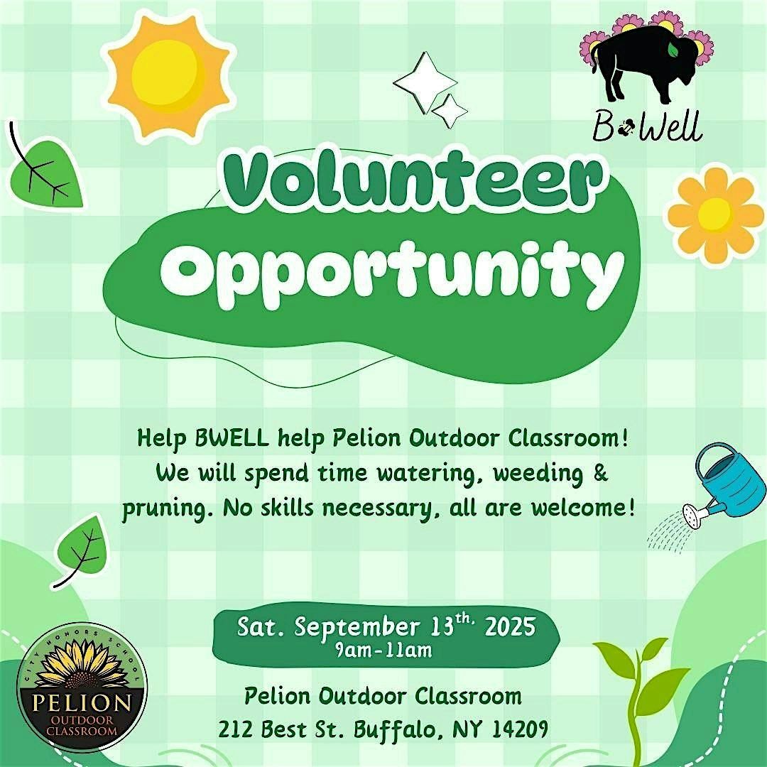Volunteering at Pelion!