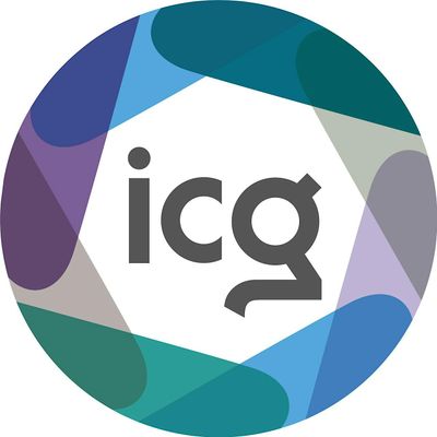 The ICG - Insight Consultants Group