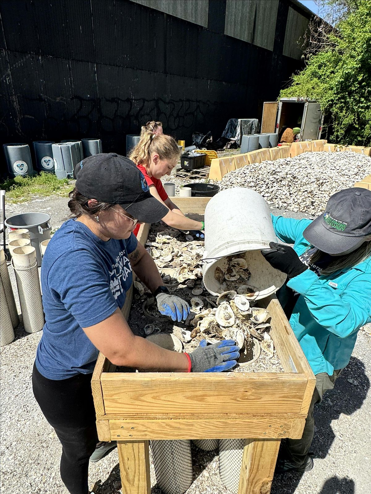 Volunteer Shell Bagging Event - October 4 - Philadelphia