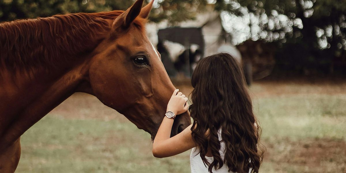 Resiliency Wranglers Introduction - (Series 3)