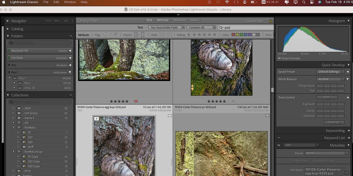 Lightroom 101: Learn to Organize and Find Your Photos