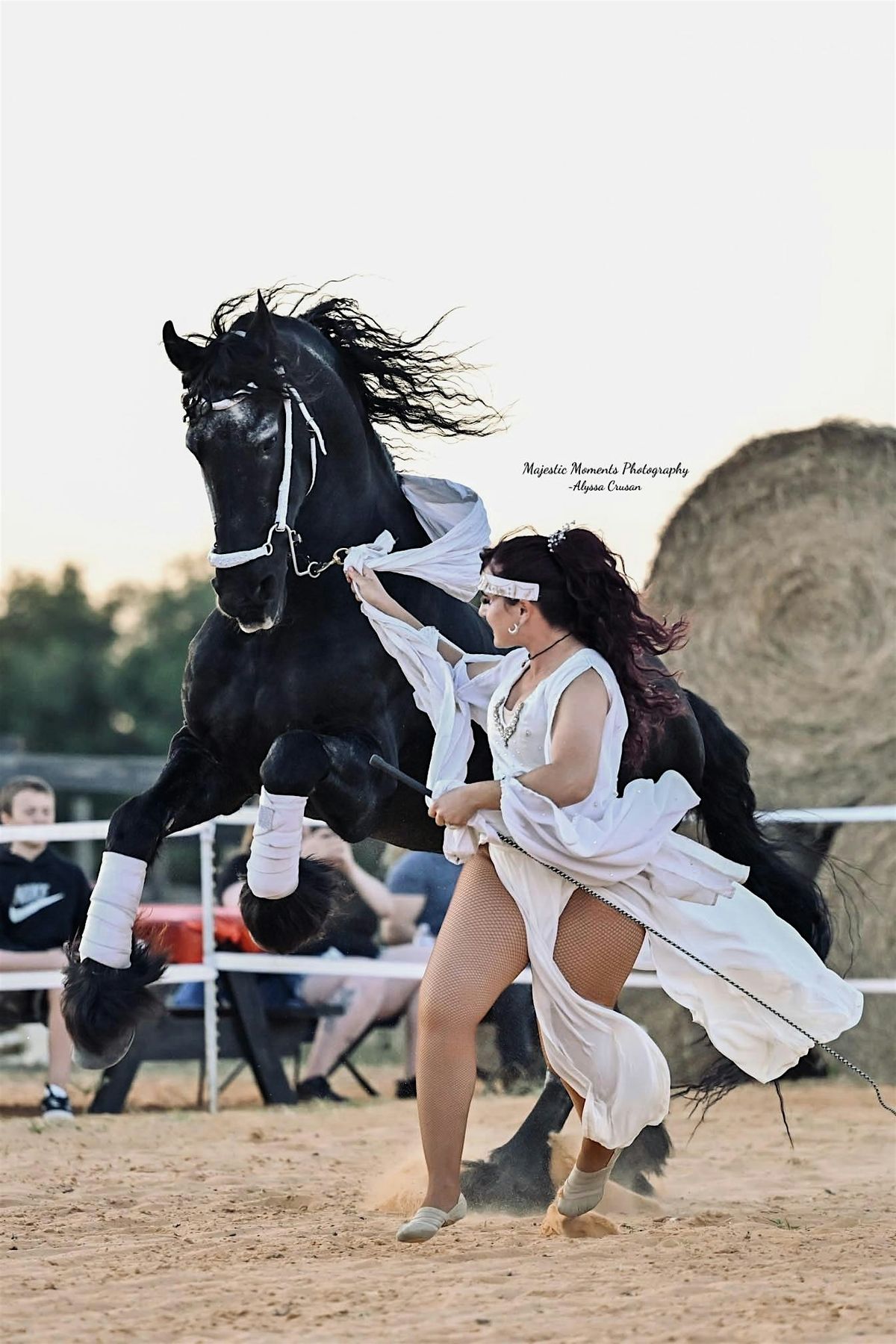 Dream Horse Journey