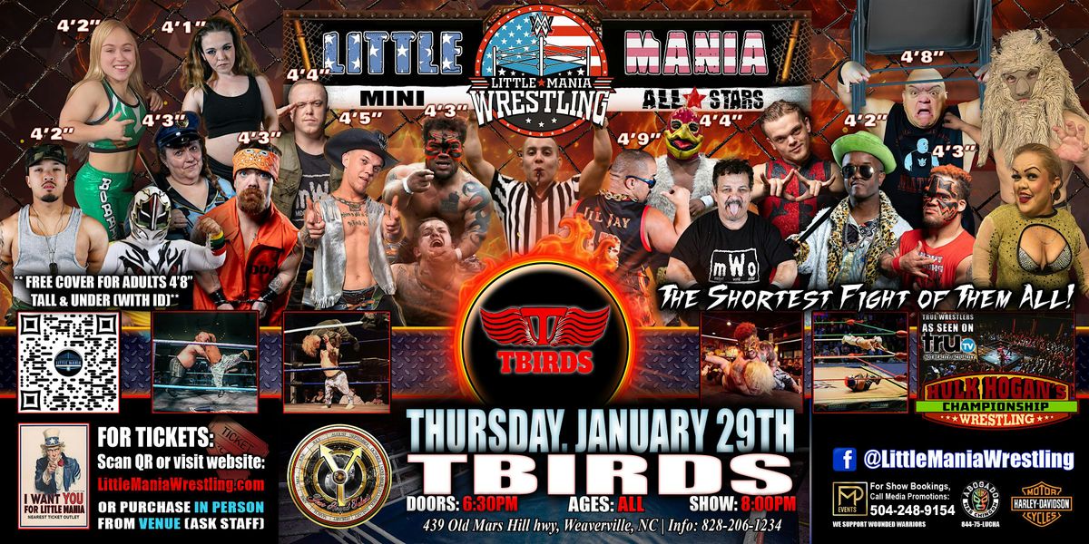 Weaverville, NC  - Little Mania Mini Wrestling @ Tbirds