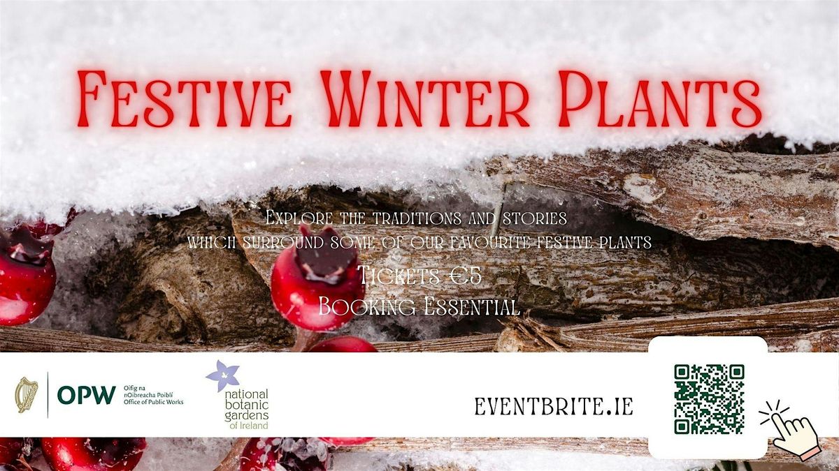 Themed Tour: Festive Winter Plants