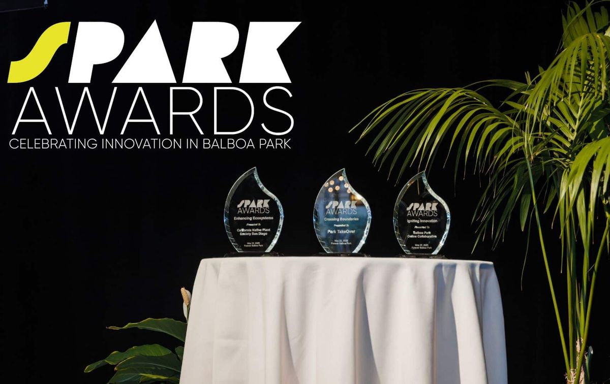 Parking Indigenous Takeover