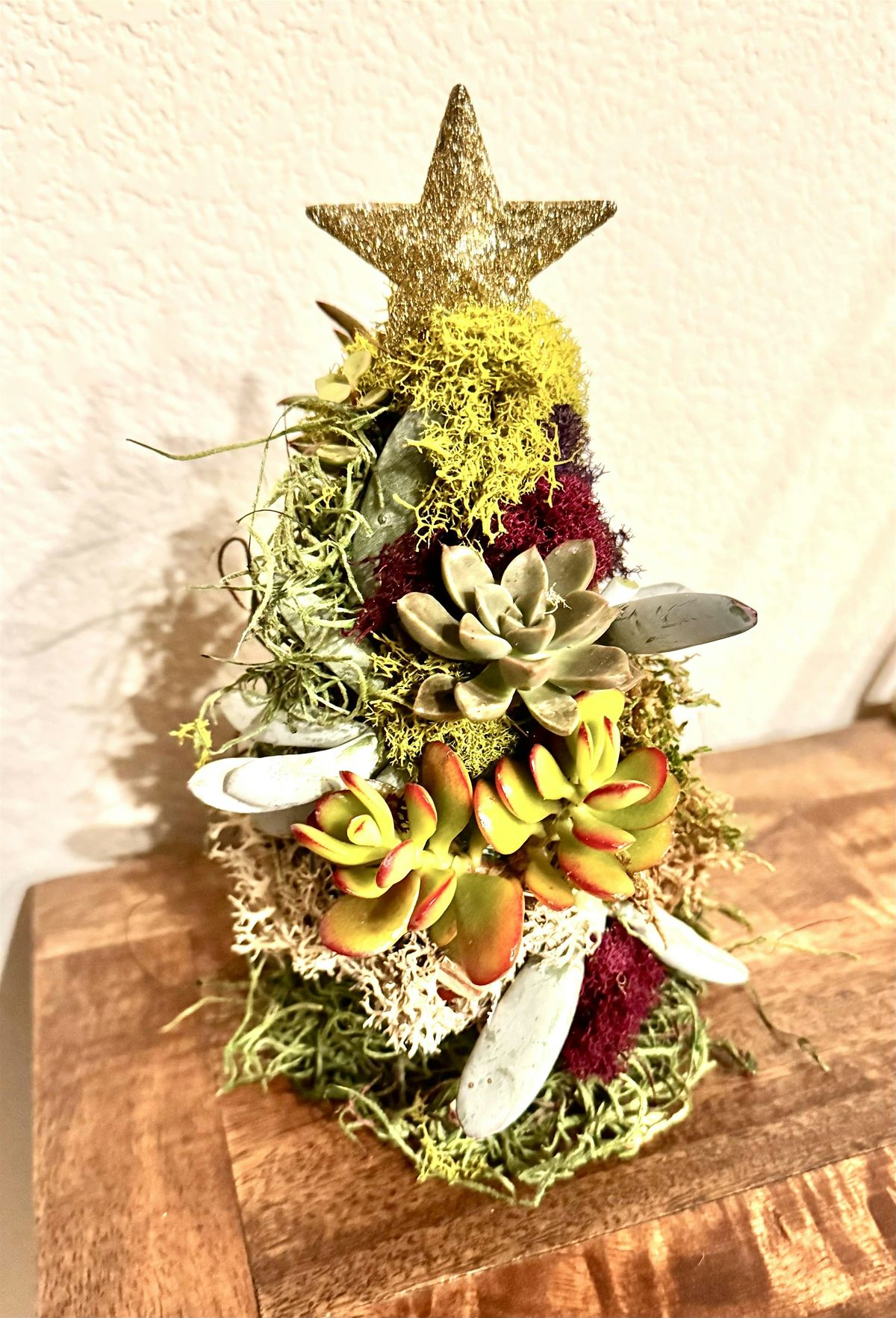 A Starred Succulent Tree DIY