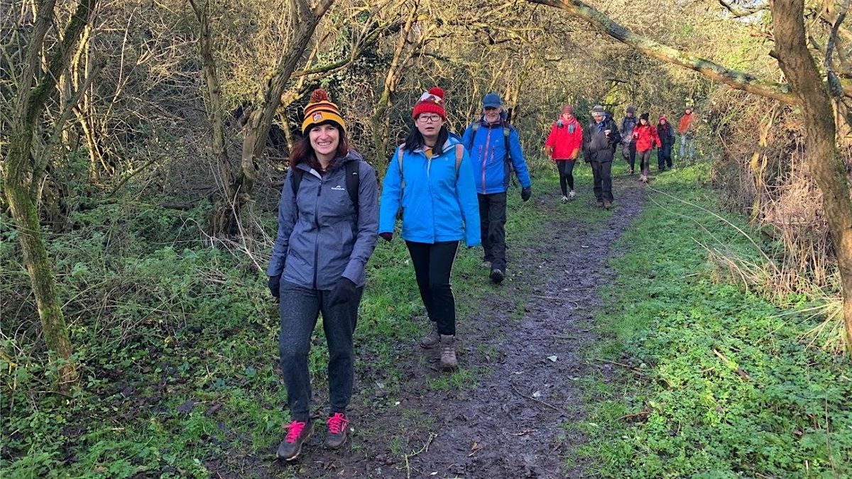 Surrey Hills Circular via Box Hill and Reigate Heath