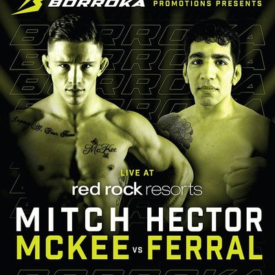 Borroka MMA Promotions