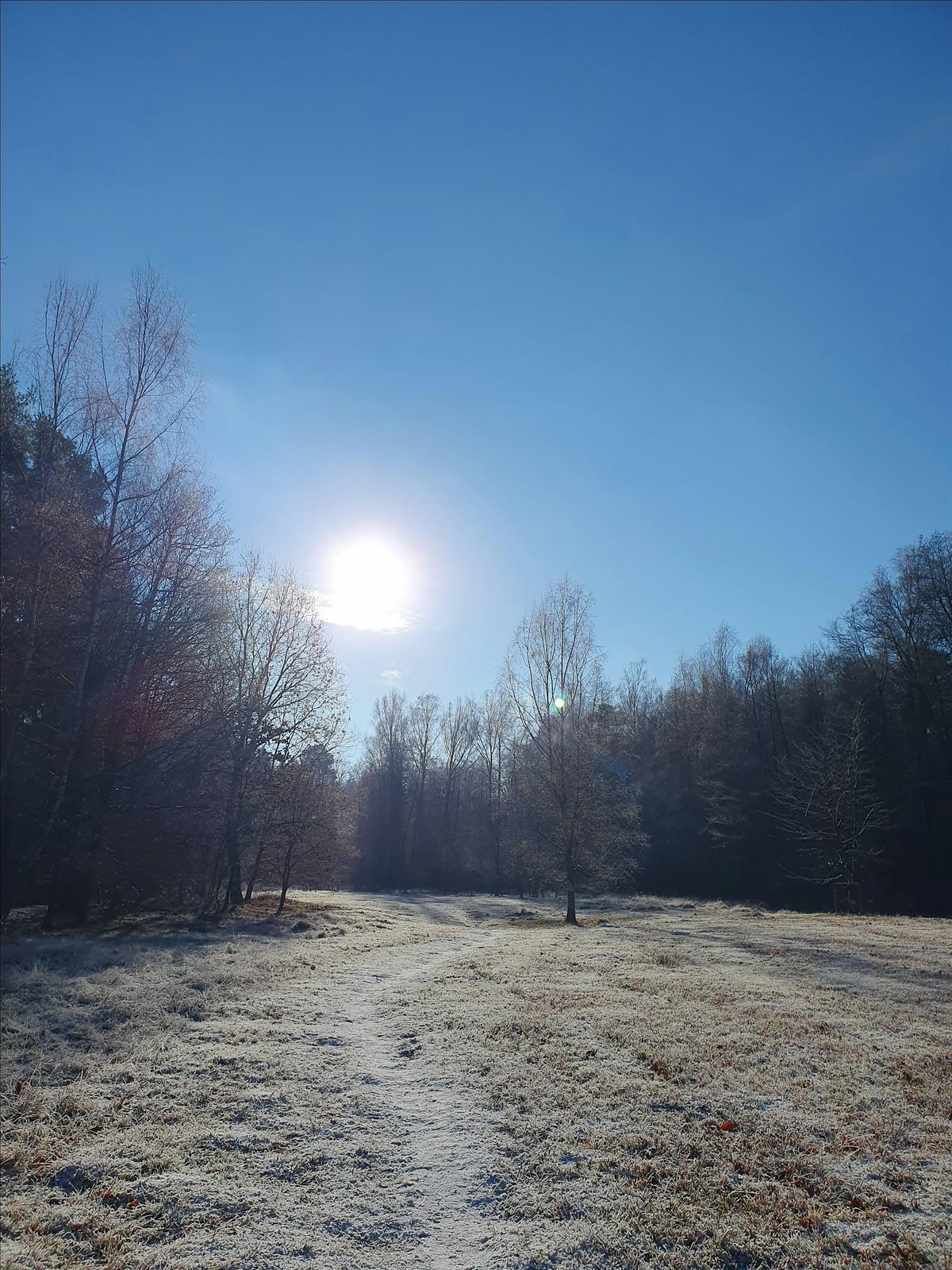 Einfach machen! Ein Coaching-Spaziergang