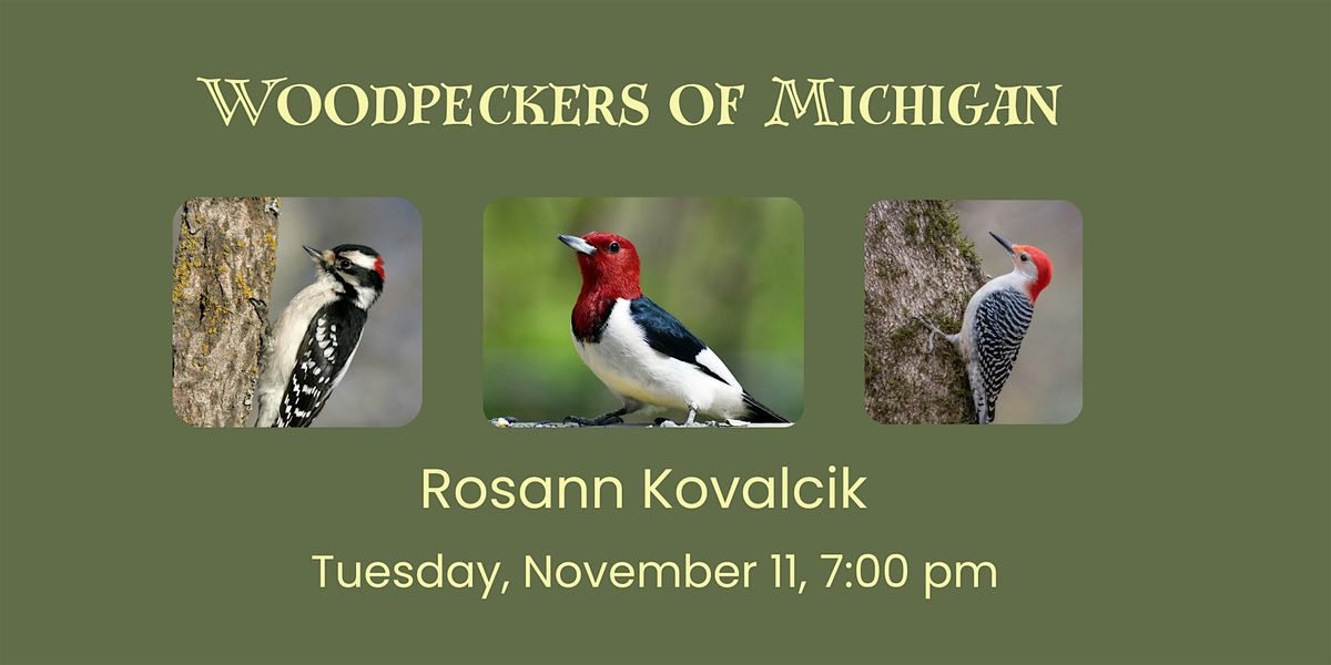 Woodpeckers of Michigan