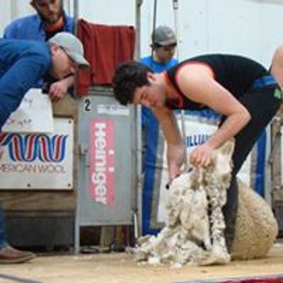 All American Sheep Day at the Black Hills Stock Show & Rodeo