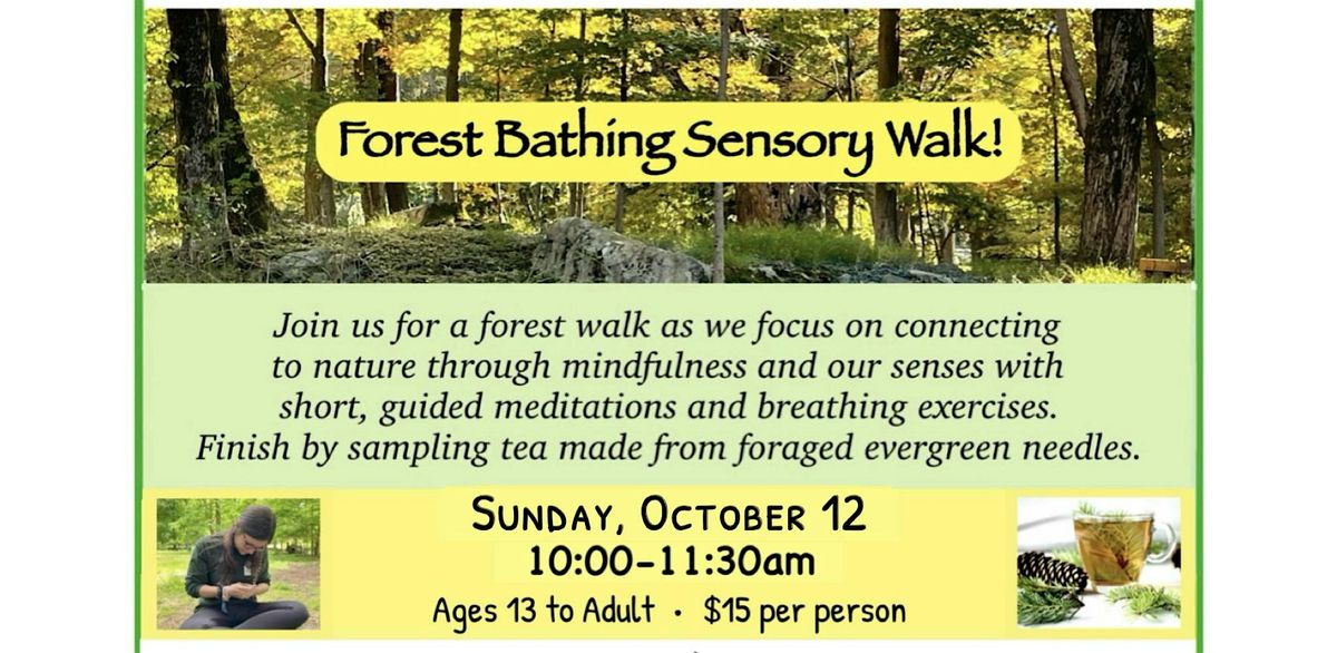 Forest Bathing Sensory Walk & Foraged Tea