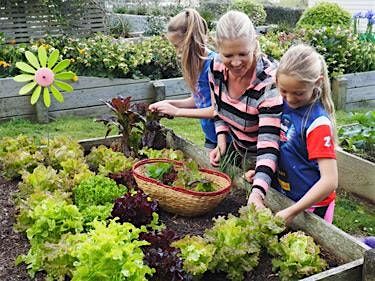 PLANTING and MAINTAINING YOUR SUMMER VEGETABLES