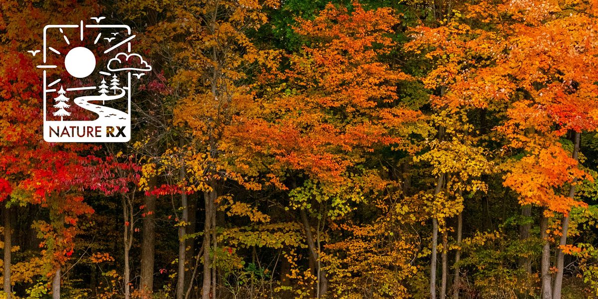 Nature Rx | Forest Bathing