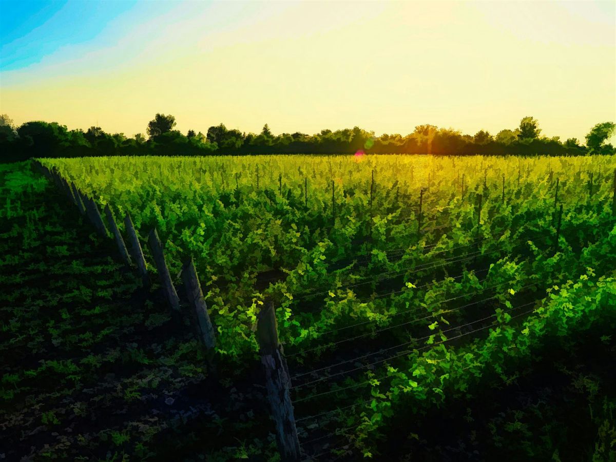 A Night of Wine and Art with Stanners Vineyard