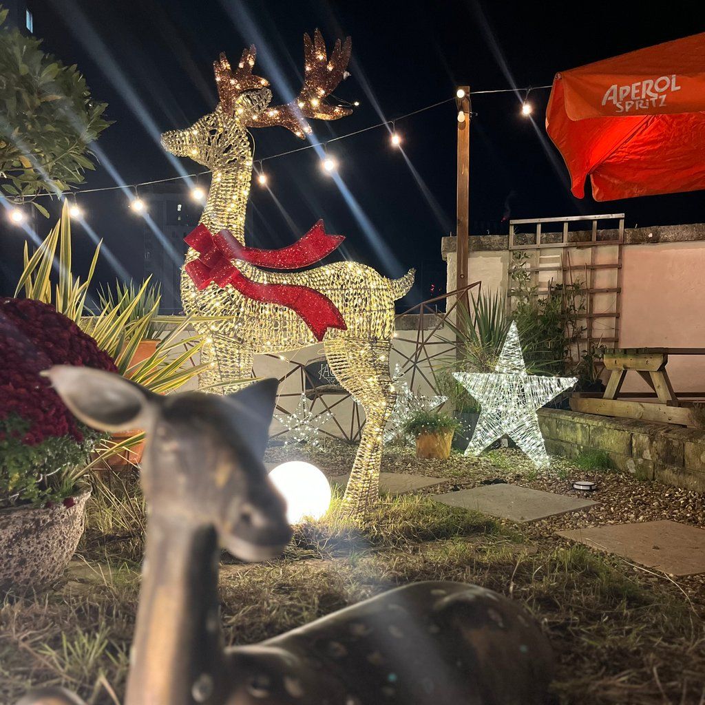 Rooftop coffee shop serving mulled wine and mince pies!