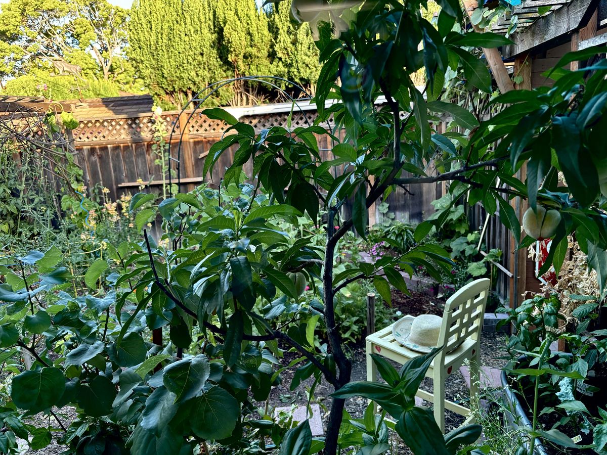 Gardening Talk with Rose & Dustin