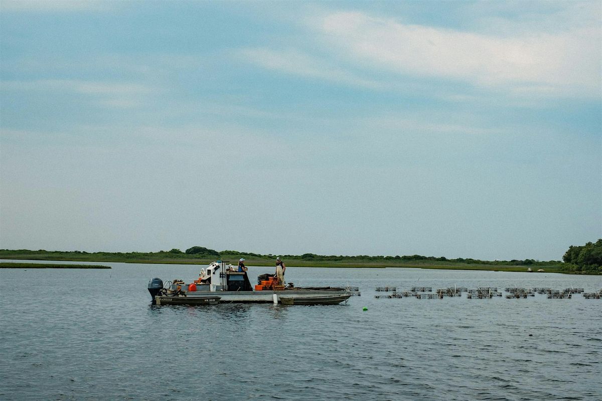 401 Oyster Company Oyster Farm Tour | AUGUST 19TH