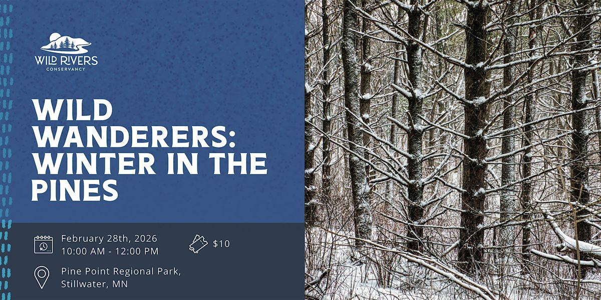 Wild Wanderers: Winter in the Pines