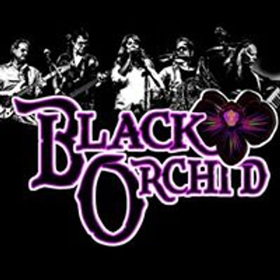 Black Orchid