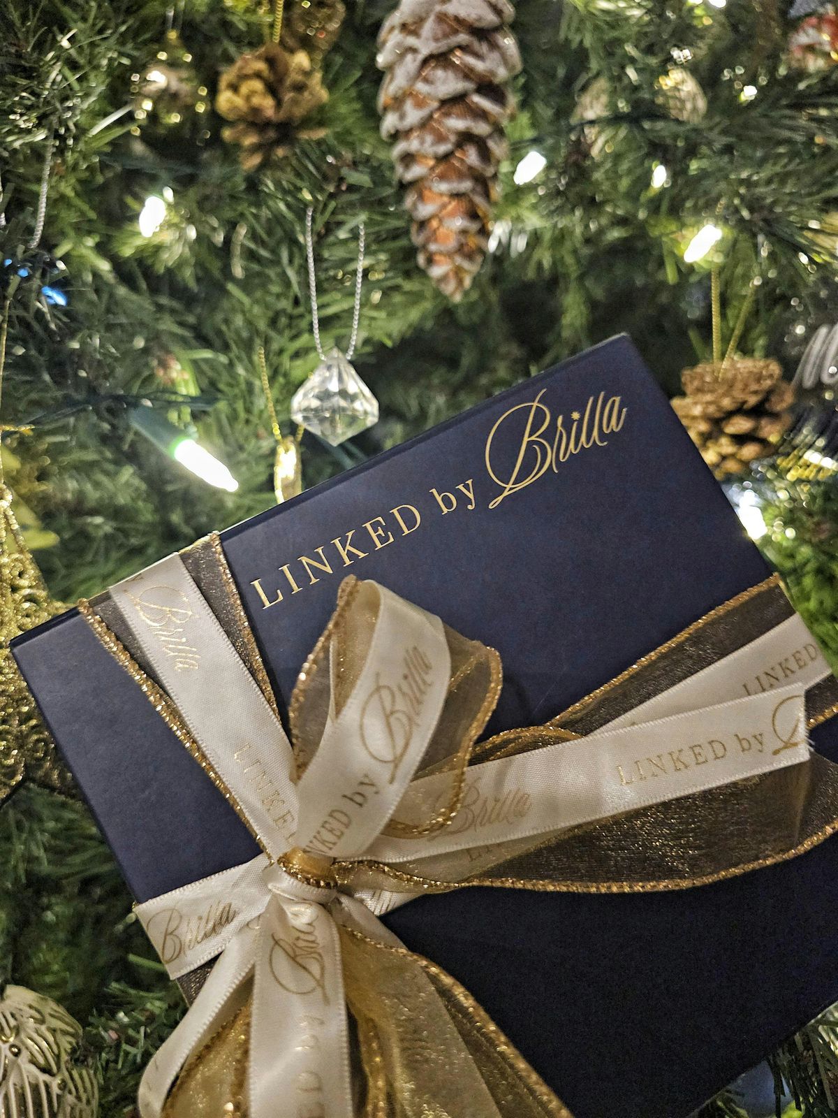 Sparkle & Shine: Brilla\u2019s Holiday Jewellery Showcase