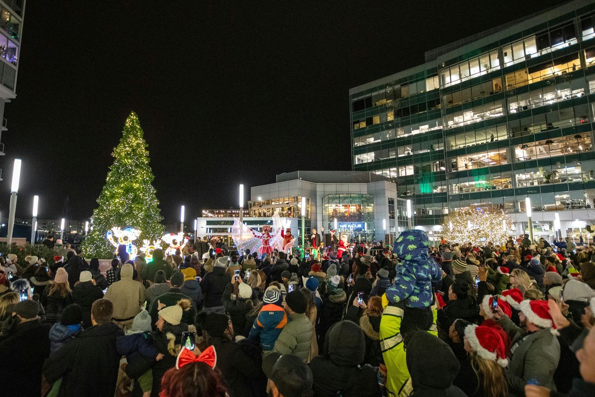 Harbor Point 15th Annual Christmas Tree Lighting