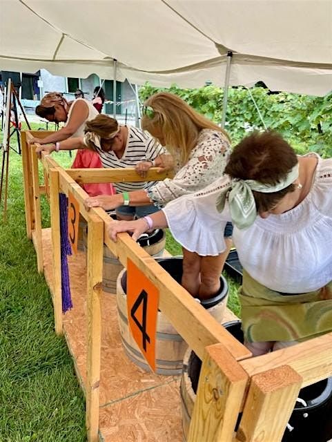 Wichmann Vineyard Grape Stomp