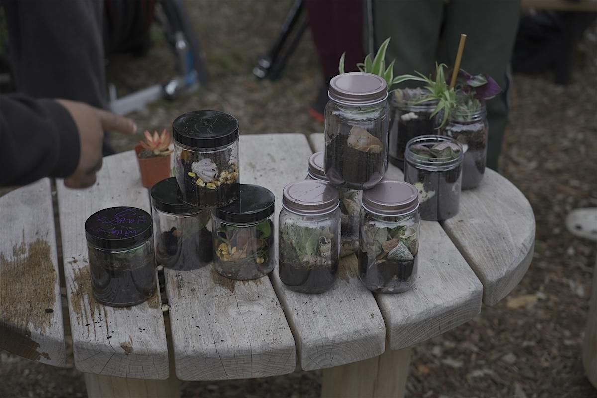 Air Ecologies Closed Jar Terrarium Workshop