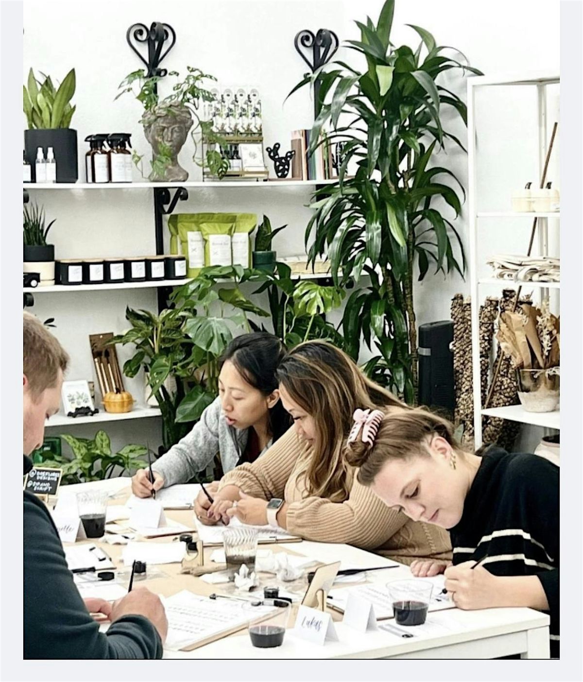 Succulents on Pumpkins