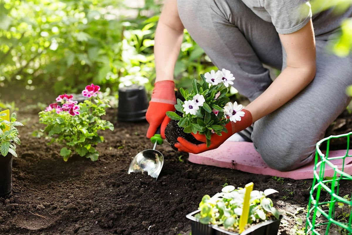 Gardening101
