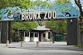 NEW YORK CITY BRONX ZOO TRIP FROM BALTIMORE