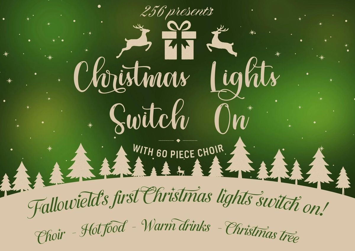 Christmas Lights Switch on