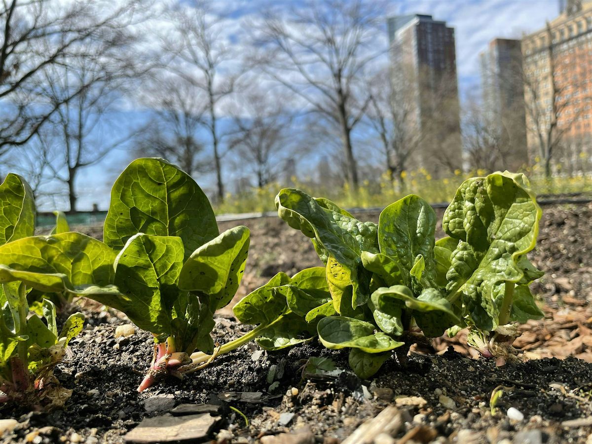 Urban Farming 101 Workshop: Season Extension and Winter Growing