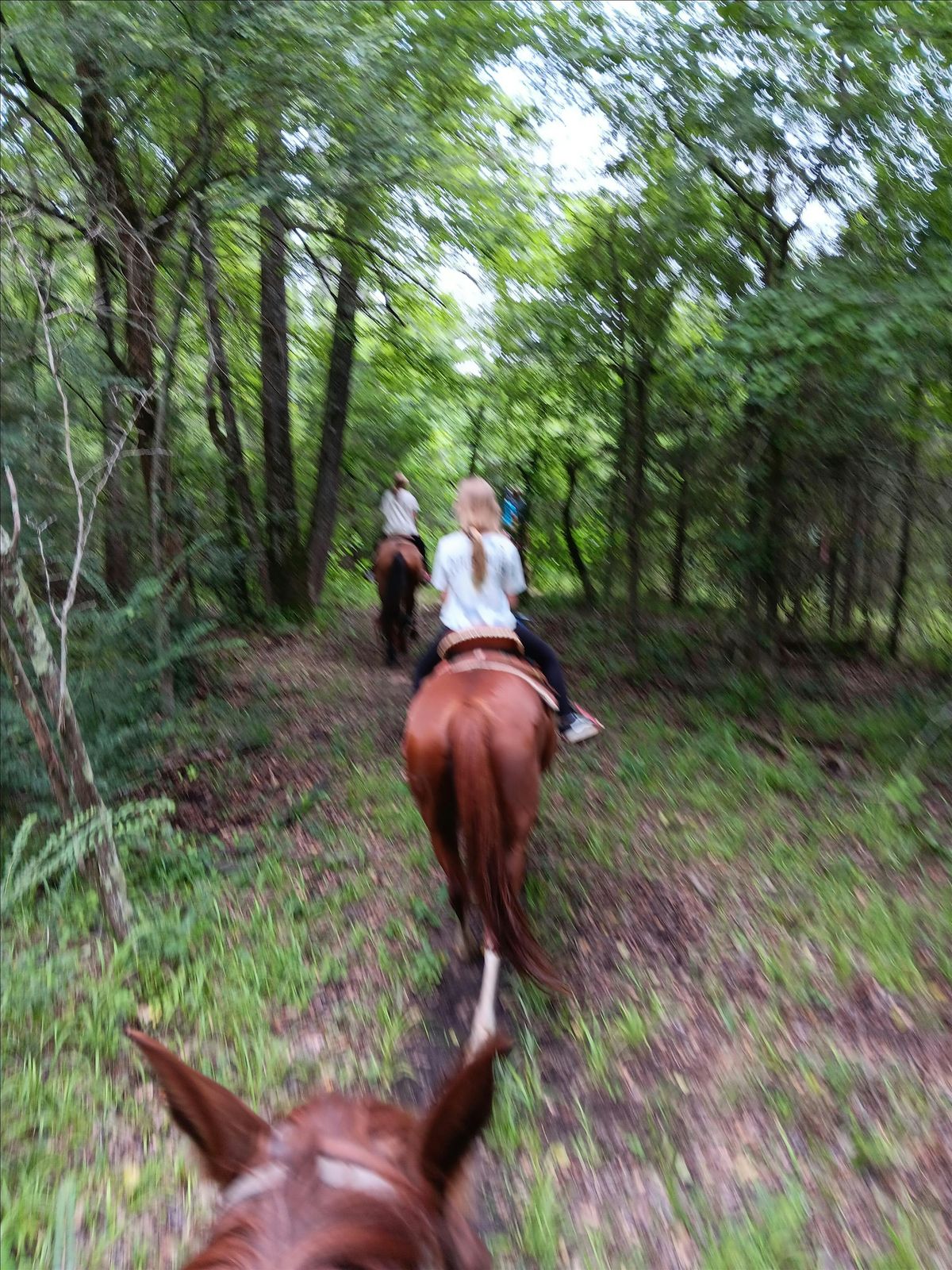 Trail Ride - Winona (North) 1 hour