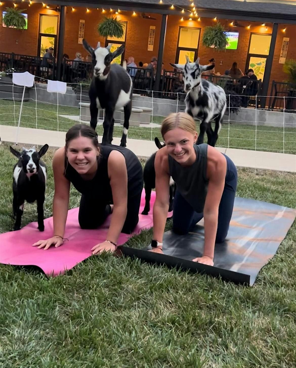 Goat yoga @ Highland il Band and Choir Fundraiser