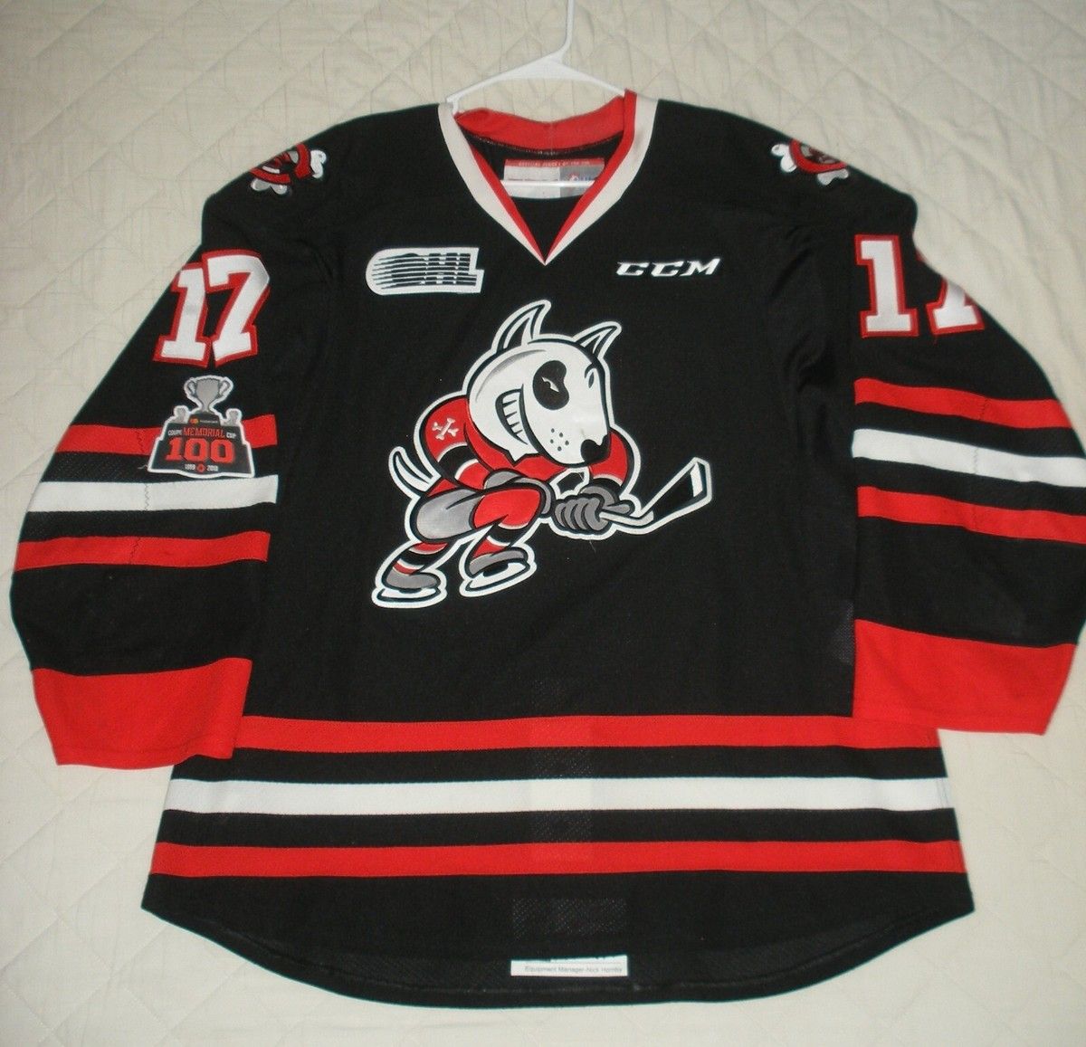 Niagara IceDogs at Ottawa 67s at TD Place