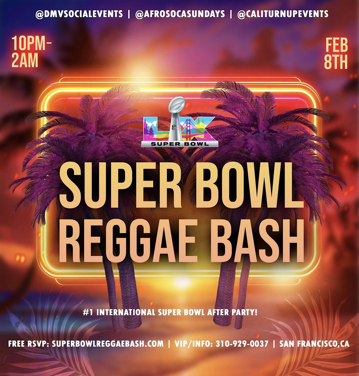 Super Bowl Reggae Bash After Party | International Vibez