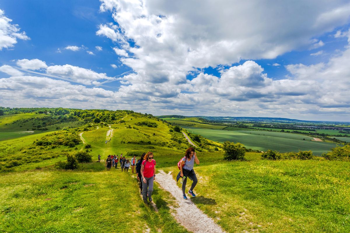 HIKE BEGINNERS 16km Ivinghoe Beacon and the Forests of the Chiltern Hills